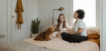 36 beste honden voor mensen die in een appartement wonen