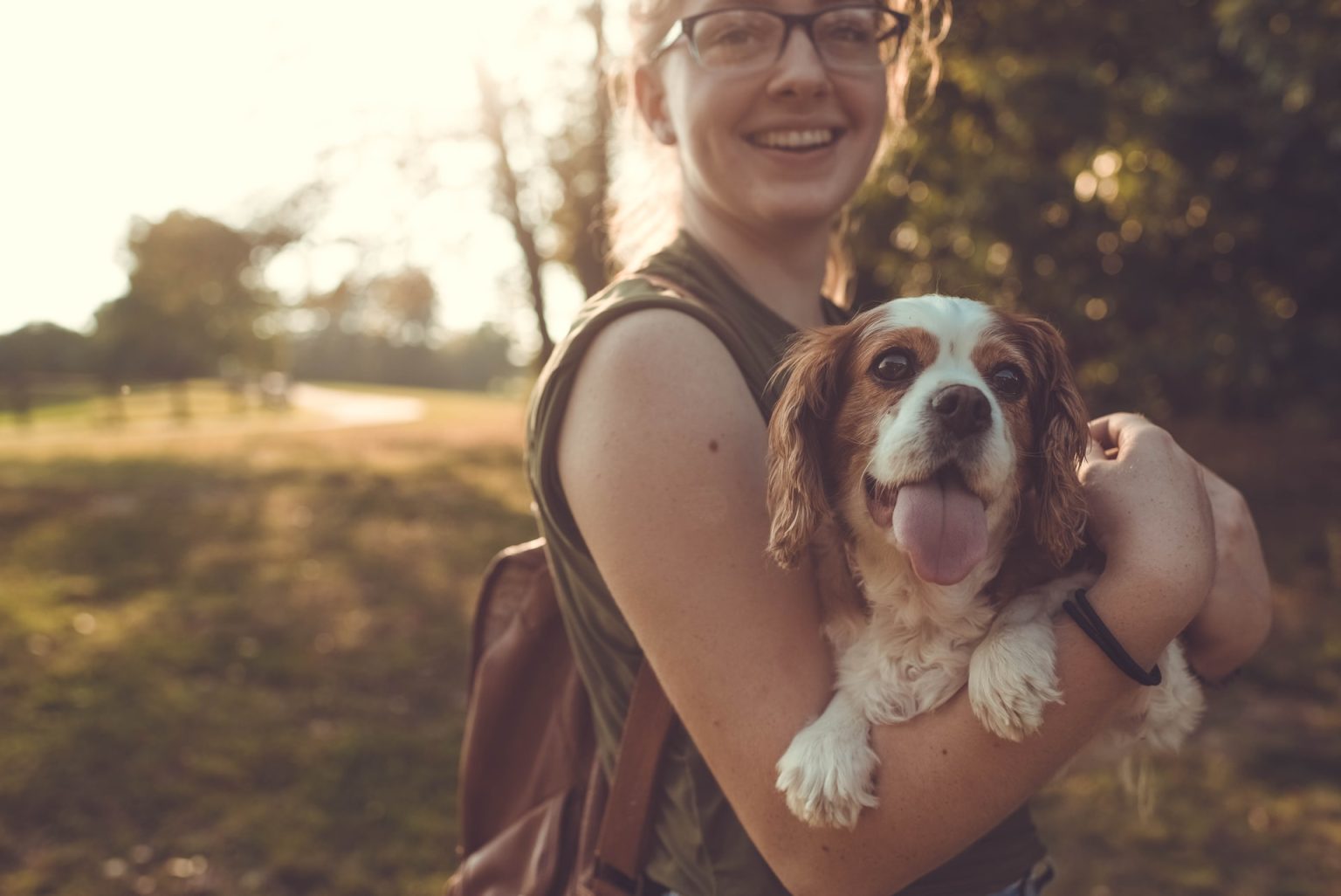 Mijn hond heeft vlooien wat nu? Hondpedia