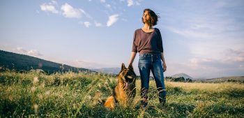 10 hondenrassen die op Duitse herders lijken