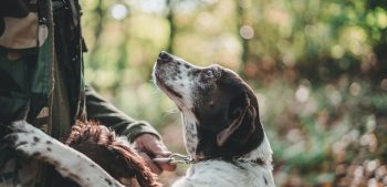 Meer dan 150 unieke hondennamen voor jachthonden