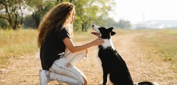 Top 10 soorten hulphonden en wat ze doen