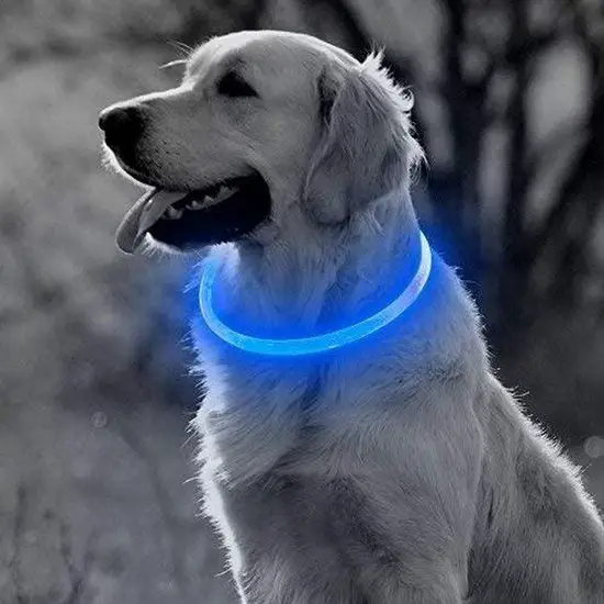 Blauwe LED Halsband voor honden Medium / Blauw verlichte halsband / Lichtgevende Halsband Hond / Led Halsband Hond - Oplaadbaar via USB / USB Halsband LED