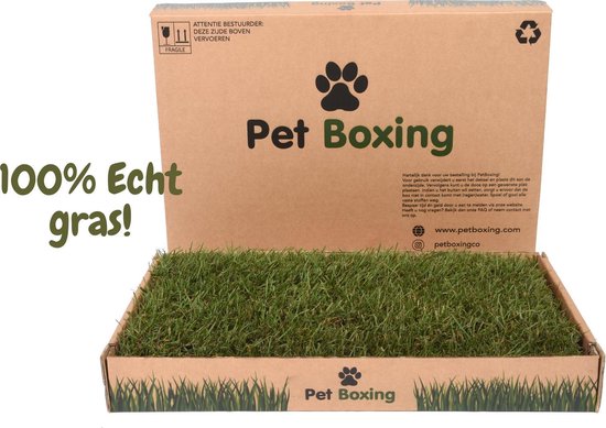 Hondentoilet PetBoxing - Puppy Training Pad - Zindelijkheidstraining - Biologisch - 60 x 40 cm