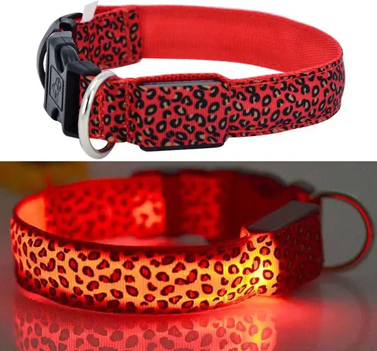 Professor Q - Lichtgevende hondenhalsband - 22 tot 40 cm - Panter print - Rood