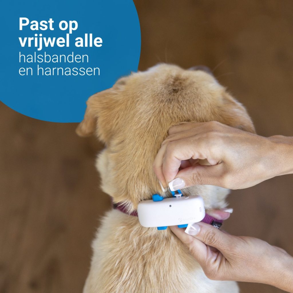 Beste GPS tracker voor honden Hondpedia