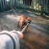 De 6 beste speelgoed ballen voor honden in 2025