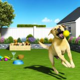 De Beste Tips Voor Labrador beweging schema Zorg Goed Voor Je Labrador