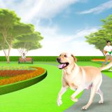 De Beste Tips Voor Labrador bewegingsschema Zorg Goed Voor Je Labrador