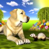 De Beste Tips Voor Labrador en fretten Zorg Goed Voor Je Labrador