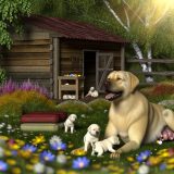 De Beste Tips Voor labrador fokken gedragsproblemen Zorg Goed Voor Je Labrador