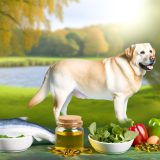 De Beste Tips Voor Labrador gewichtsbeheersing supplementen Zorg Goed Voor Je Labrador