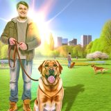 De Beste Tips Voor Labrador trekken aan lijn Zorg Goed Voor Je Labrador