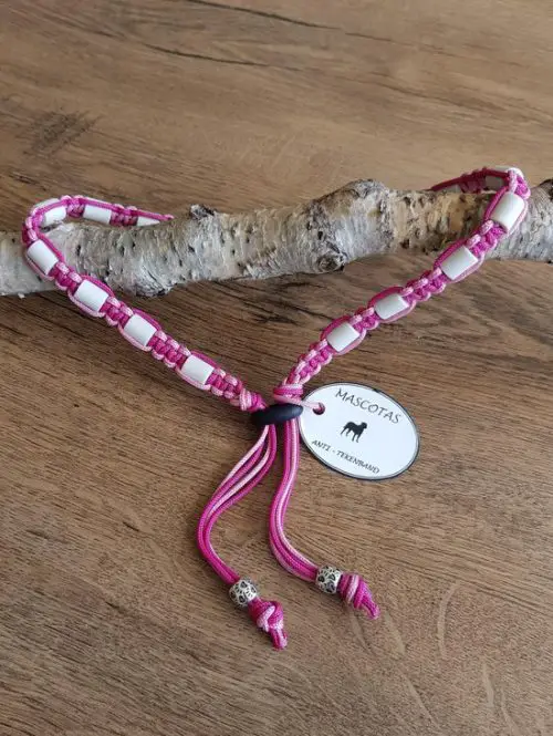 De kleine dierenwinkel tekenband