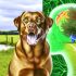 Wat Je Niet Mag Missen Over Labrador nieren ondersteunende supplementen Voor Labradors