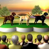 De Ultieme Gids Voor labrador kleur wedstrijden Bij Labradors