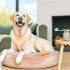 labrador tandverzorging kosten Alles Wat Je Moet Weten