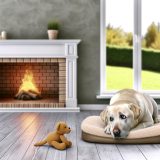 De Ultieme Gids Voor Labrador verlatingsangst behandelen Bij Labradors