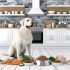senior labrador dieet Wat Iedere Labrador Eigenaar Moet Weten