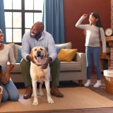 Handleiding Labrador adoptienetwerk Voor Een Gelukkige Labrador