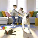 Handleiding Labrador als gezinshond Voor Een Gelukkige Labrador