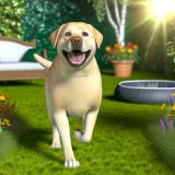 Handleiding Labrador raskenmerken verandering Voor Een Gelukkige Labrador