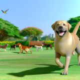 Handleiding Vaccinatie en gedrag Voor Een Gelukkige Labrador