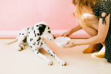 7 tips om te voorkomen dat uw hond te snel eet