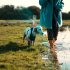 Wat moet ik doen als mijn hond druiven of rozijnen heeft gegeten?