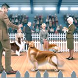 Hondenshow etiquette Alles Wat Je Moet Weten