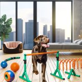 labrador appartement trainingsapparaten Voor Je Labrador Essentiële Gids