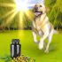 De Beste Tips Voor Labrador spier ondersteunende supplementen Zorg Goed Voor Je Labrador