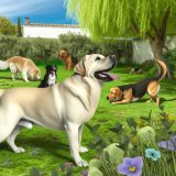 Labrador en andere rassen Wat Iedere Labrador Eigenaar Moet Weten