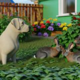 Labrador en konijnen Wat Iedere Labrador Eigenaar Moet Weten