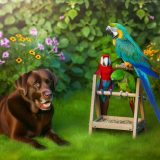 Labrador en papegaaien Voor Je Labrador Essentiële Gids