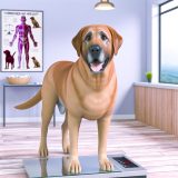 Labrador hormonen gewicht Voor Je Labrador Essentiële Gids