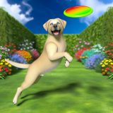 Labrador hyperactief gedrag Wat Iedere Labrador Eigenaar Moet Weten