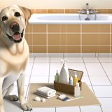 labrador oorverzorging routine Wat Iedere Labrador Eigenaar Moet Weten