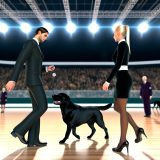 Labrador show handlers Wat Iedere Labrador Eigenaar Moet Weten