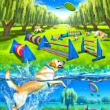 Labrador sporten activiteiten Voor Je Labrador Essentiële Gids