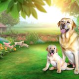 labrador stamboom gezondheid Wat Iedere Labrador Eigenaar Moet Weten