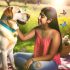 Ontdek Werkhond Labrador fokprogramma Tips en Tricks Voor Labrador Liefhebbers