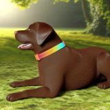 labrador verkoelende halsbanden Voor Je Labrador Essentiële Gids