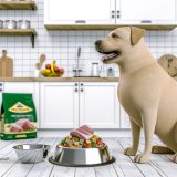 labrador voeding en energie Wat Iedere Labrador Eigenaar Moet Weten