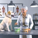 Labrador voedingsadvies dierenarts Alles Wat Je Moet Weten