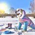 Ontdek labrador wintersport Tips en Tricks Voor Labrador Liefhebbers