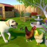 Ontdek Honden en kippen Tips en Tricks Voor Labrador Liefhebbers