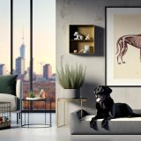 Ontdek labrador appartement gezondheid Tips en Tricks Voor Labrador Liefhebbers