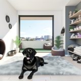 Ontdek labrador appartement verzorging Tips en Tricks Voor Labrador Liefhebbers
