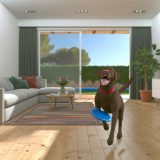Ontdek labrador beweging binnenshuis Tips en Tricks Voor Labrador Liefhebbers