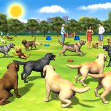 Ontdek labrador socialisatie spellen Tips en Tricks Voor Labrador Liefhebbers